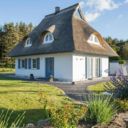 Haubenlerche 16 * Fuhlendorf (Mecklenburg-Vorpommern)