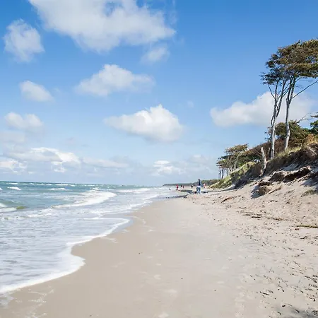 Haubenlerche 16 Dom wakacyjny Fuhlendorf (Mecklenburg-Vorpommern)