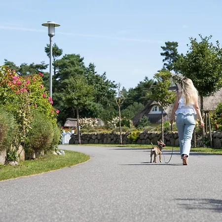 Haubenlerche 16 Fuhlendorf (Mecklenburg-Vorpommern)